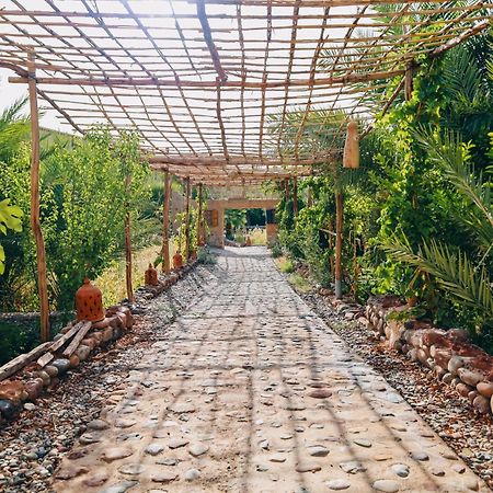 Riad Aman سكورة المظهر الخارجي الصورة