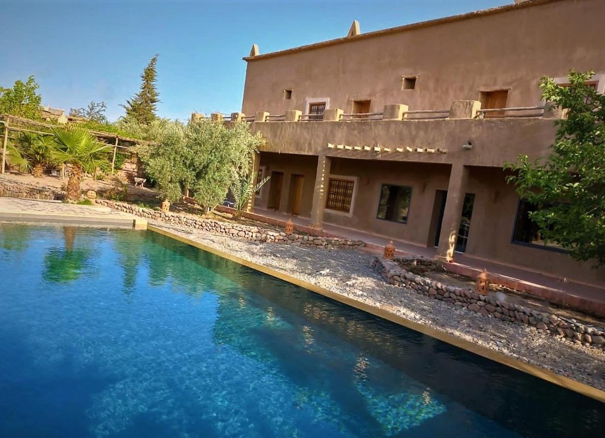 Riad Aman سكورة المظهر الخارجي الصورة