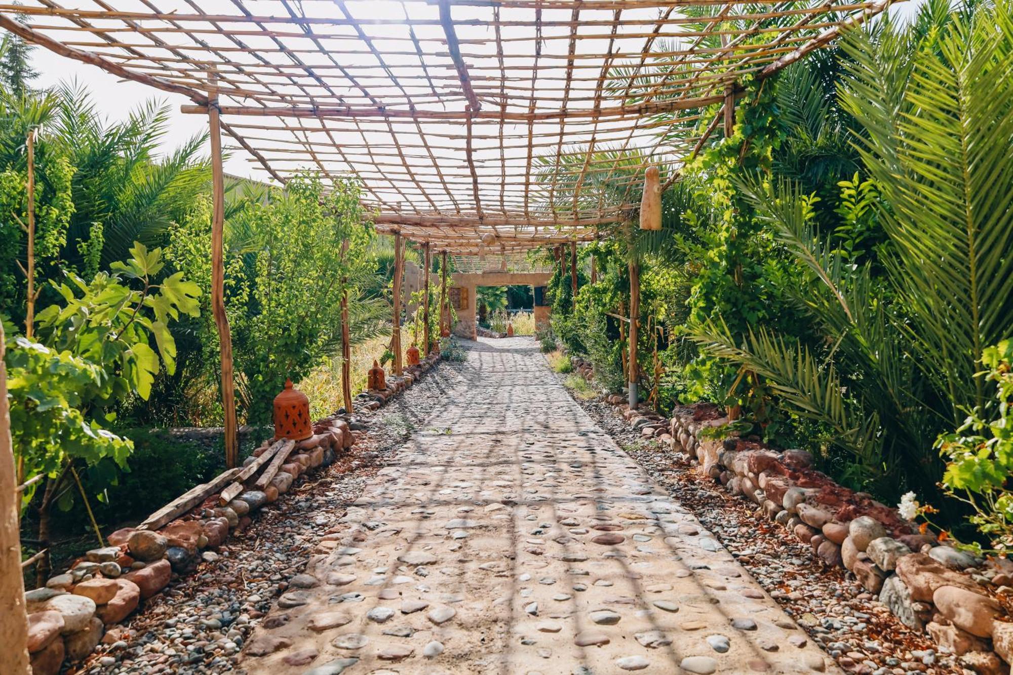 Riad Aman سكورة المظهر الخارجي الصورة