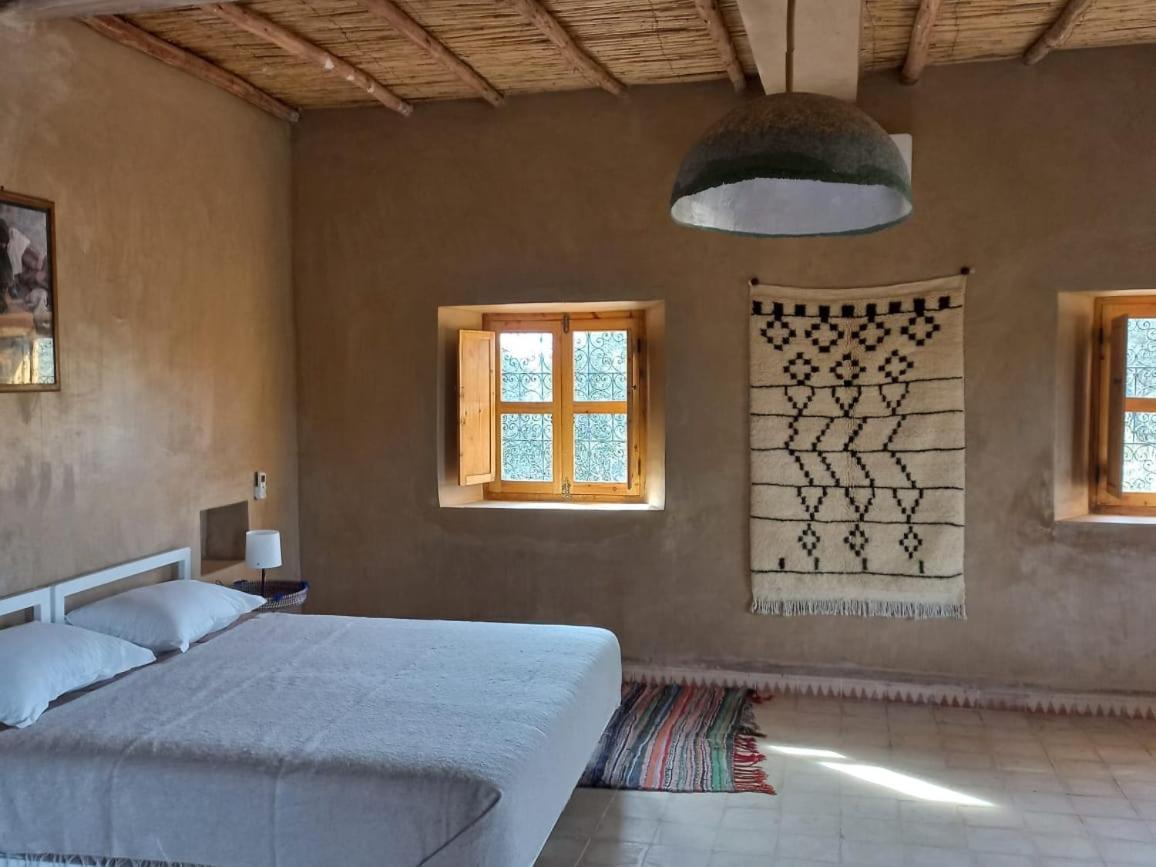 Riad Aman سكورة المظهر الخارجي الصورة